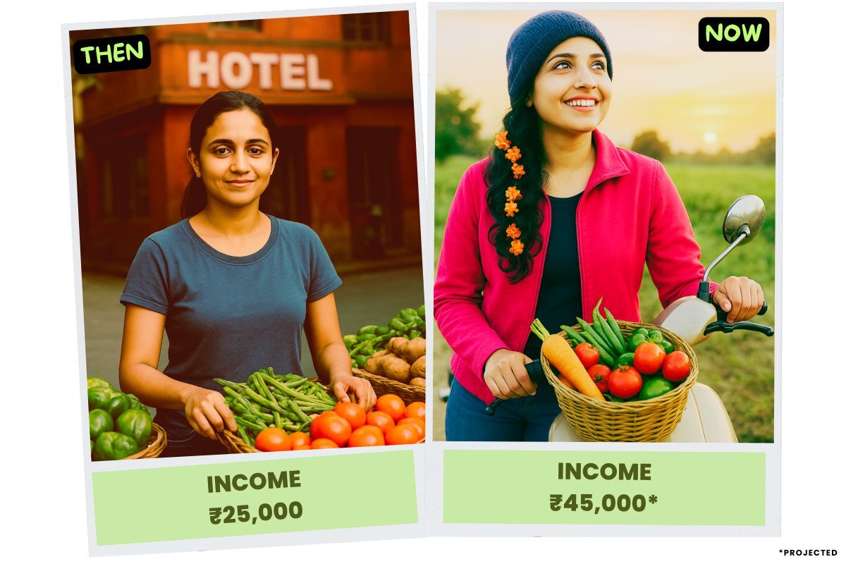 vegetable business 